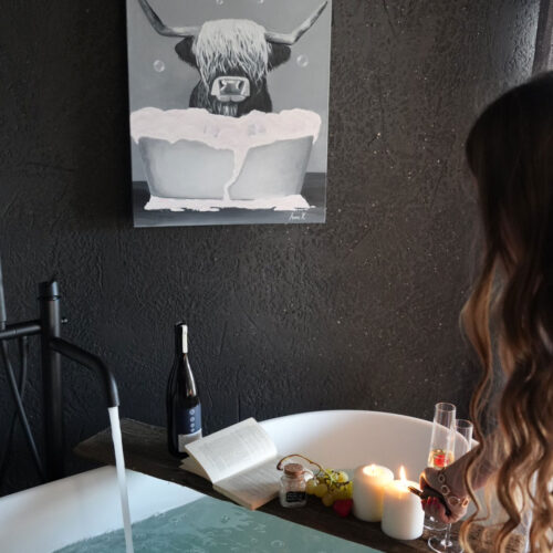 Bergchalet-anders-07